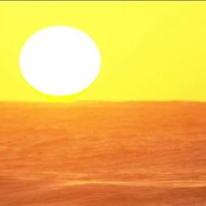 Meet your Posher, Carl